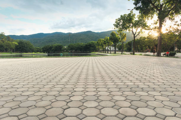 Best Residential Paver Driveway  in Storm Lake, IA