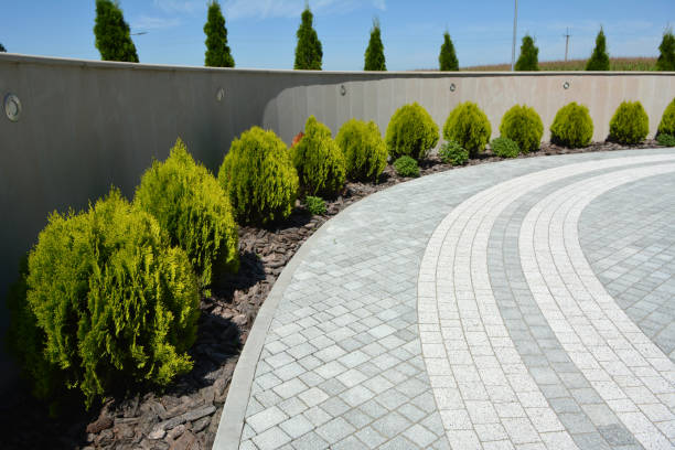 Best Residential Driveway Paver Services  in Storm Lake, IA
